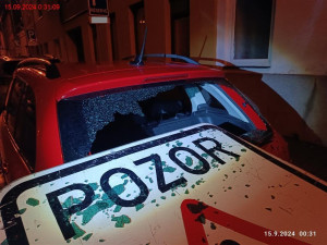 Vyvrácené stromy a polámané větve poničily auta v Brně