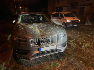 Vyvrácené stromy a polámané větve poničily auta v Brně