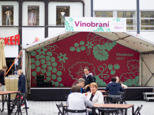 Vinobraní na Svoboďáku přerušilo nepříznivé počasí. Teď slavnosti vína pokračují