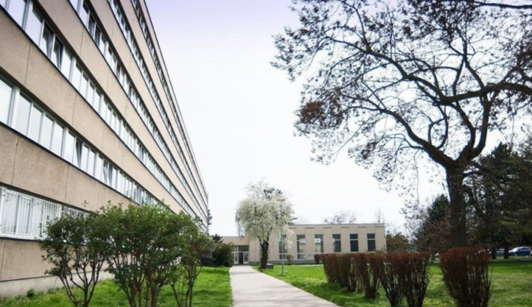 Evakuovaným studentům univerzita poskytla alternativní ubytování. Od úterý se mohou vracet zpět na své koleje