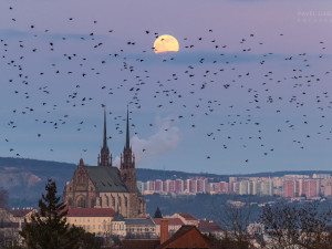 Soud vyhověl žalobě ornitologů a zrušil povolení stavby brněnské lanovky