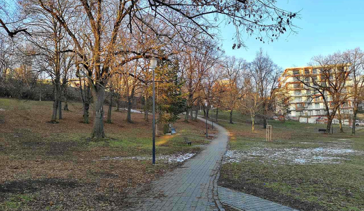 park-marie-restituty-20190206
