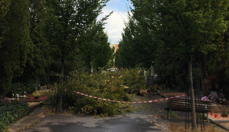 Lidé mohu opět navštívit Ústřední hřbitov v Brně. Přístupná je zatím pouze horní část u krematoria