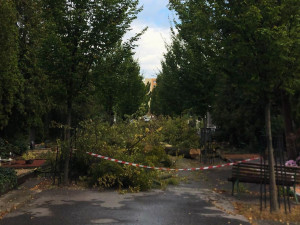 Lidé mohou opět navštívit Ústřední hřbitov v Brně. Přístupná je zatím pouze horní část u krematoria