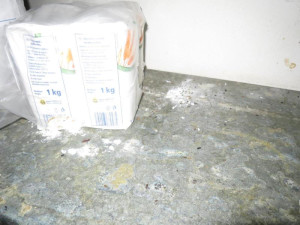 Plíseň, myší trus a mrtví hlodavci v kuchyni. Inspektoři zavřeli restauraci v centru Brna