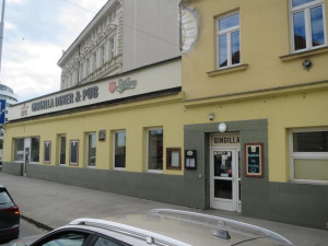 Plíseň, myší trus a mrtví hlodavci v kuchyni. Inspektoři zavřeli restauraci v centru Brna