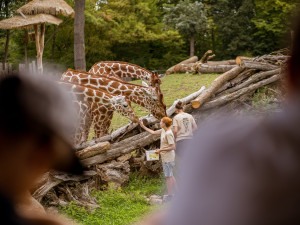 EKOFILM chystá na sobotu v Zoo Brno rodinný den. V neděli přehlídku vítězných filmů