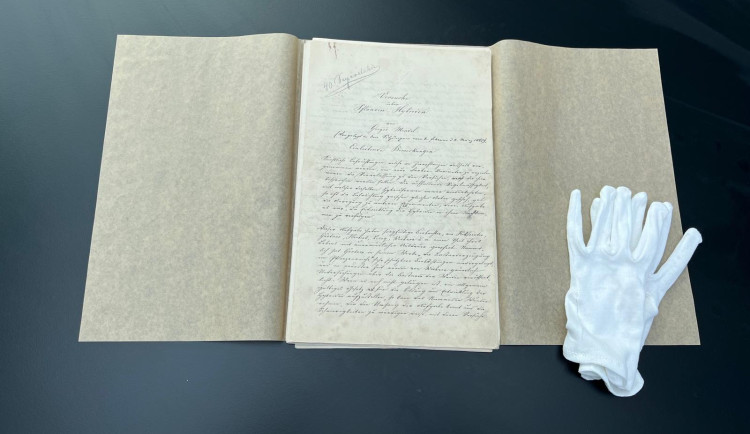 Obrázek WhatsApp, 2024-10-03 v 13.50.13_68595a99