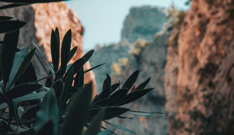 Objevte Turecko: Vaše perfektní dovolená plná zážitků