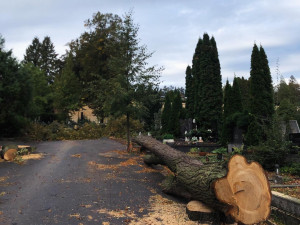 Areál Ústředního hřbitova v Brně se od pondělí otevře návštěvníkům, zatím pouze pěším