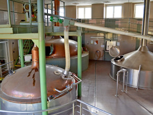 Stovky lidí zavítaly do vyškovského pivovaru. Prohlédli si areál a diskutovali o jeho budoucnosti