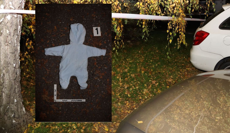 Pár našel v brněnských Řečkovicích opuštěného novorozence pod stromem. Policisté hledají svědky a matku