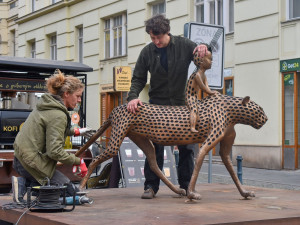 Do Brna přicestoval bronzový Mauglí. Socha na Šilingrově náměstí zůstane nejméně rok