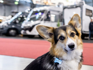 Brněnské výstaviště zahajuje Caravaning Brno. Nabídne luxusní karavany a obytňáky