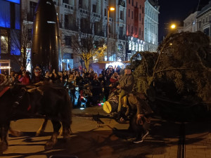 VIDEO: Do Brna dorazil vánoční strom. Stopadesátiletou jedli přivezli na koňském povoze