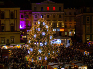 Strom na Zelném trhu.