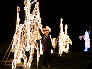 Zažijte kouzelný prosinec v Muzeu města Brna