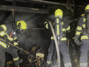 VIDEO: Při nočním požáru zemřelo několik psů. Příčina jeho vzniku je v šetření