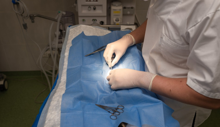 Ilustrační fotografie