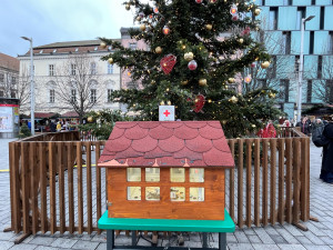 Vánoční stromy na náměstích pomáhají potřebným dětem už sto let. Kasička je na Svoboďáku i letos