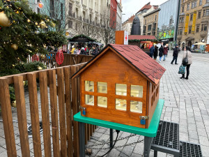 Vánoční stromy na náměstích pomáhají potřebným dětem už sto let. Kasička je na Svoboďáku i letos