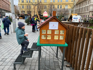 Vánoční stromy na náměstích pomáhají potřebným dětem už sto let. Kasička je na Svoboďáku i letos