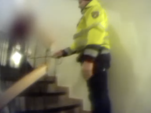 VIDEO: Mladík ukradl psa před obchodem. Strážníci zvíře za několik hodin vrátili dojaté seniorce