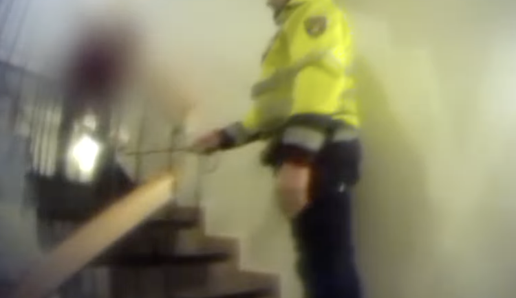 VIDEO: Mladík ukradl psa před obchodem. Strážníci ho za několik hodin vrátili dojaté seniorce