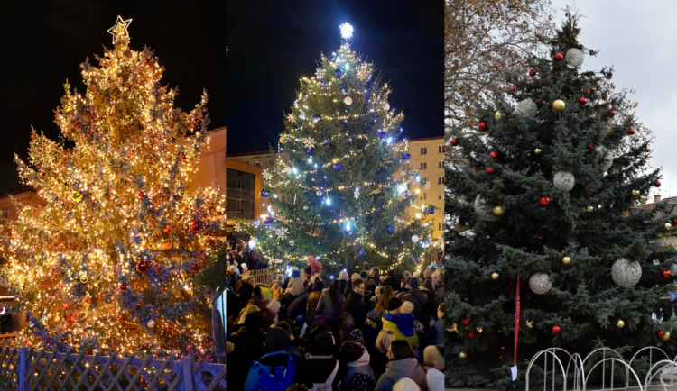 ANKETA: Kde je nejkrásnější vánoční strom v Jihomoravském kraji? Hlasujte v anketě