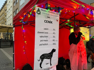 VIDEO: Kapři také cítí bolest, hlásají aktivisté v Brně. Od zabíjení ryb odrazují fiktivním prodejem vánočních psů