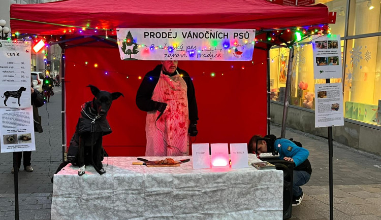 VIDEO: Kapři také cítí bolest, hlásají aktivisté v Brně. Od zabíjení ryb odrazují fiktivním prodejem vánočních psů