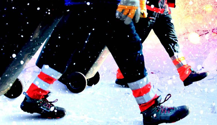 Víte jak se sváží odpad o Vánocích a kam s vánočním stromkem?