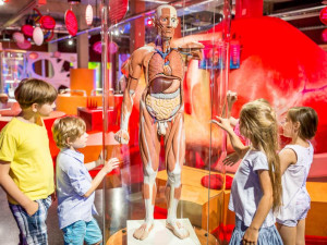 Super jarní prázdniny bez ohledu na to, jestli bude sníh? Zábavu na jednom místě nabízí Babylon Liberec