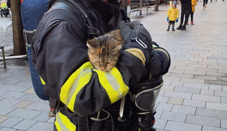 471359745_990486309772814_8730135762078690971_n