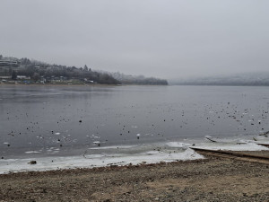 Nevstupujte na zamrzlou přehradu, varují brněnští strážníci. Led je stále příliš tenký