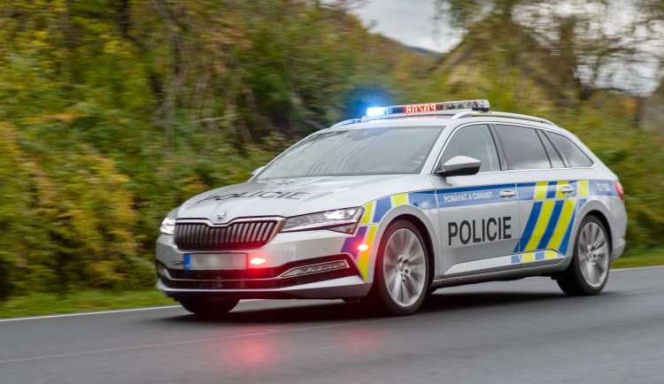 Dva opilci na Jihlavsku chtěli spáchat sebevraždu. Vyjížděli kvůli nim policisté