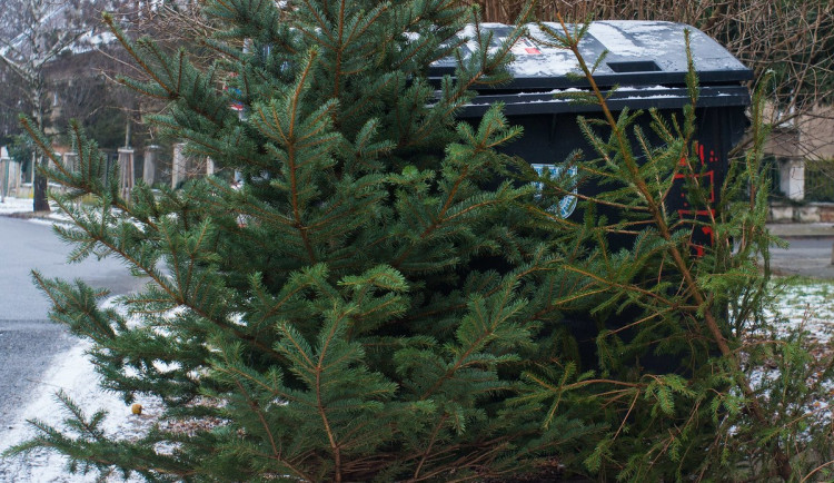 50474517_1840373346089811_7055452174251196416_n