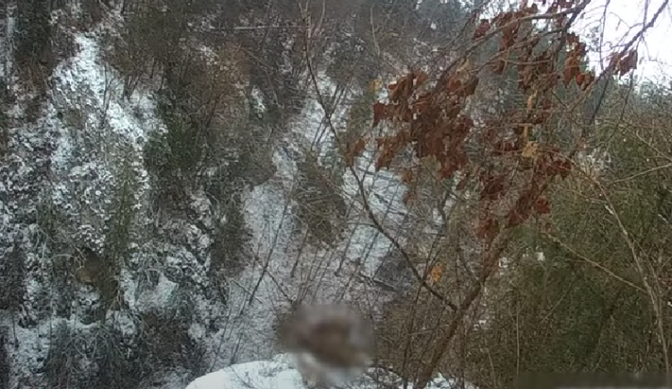 VIDEO: Mladík uvažující o sebevraždě uklouzl na okraji Macochy. Visel nad propastí jen za tenkou větvičku