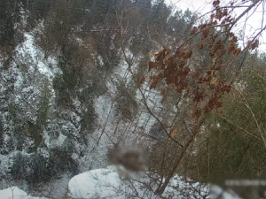 VIDEO: Mladík uvažující o sebevraždě uklouzl na okraji Macochy. Visel nad propastí jen za tenkou větvičku