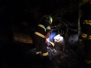 Jih Moravy v noci zasáhl silný vítr. Hasiči vyjížděli hlavně k popadaným stromům