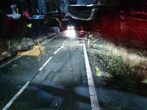 Jih Moravy v noci zasáhl silný vítr. Hasiči vyjížděli hlavně k popadaným stromům