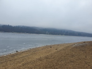 Vstup na zamrzlé vodní plochy v Brně není bezpečný. Led odtává a hladina je rozbředlá