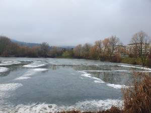 Vstup na zamrzlé vodní plochy v Brně není bezpečný. Led odtává a hladina je rozbředlá