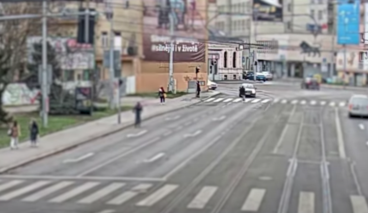 Snímek obrazovky 2025-01-17 082330