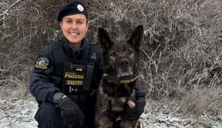 Žena spolykala prášky, zapila je alkoholem a odešla do lesa. Podchlazenou ji vyčmuchal policejní pes