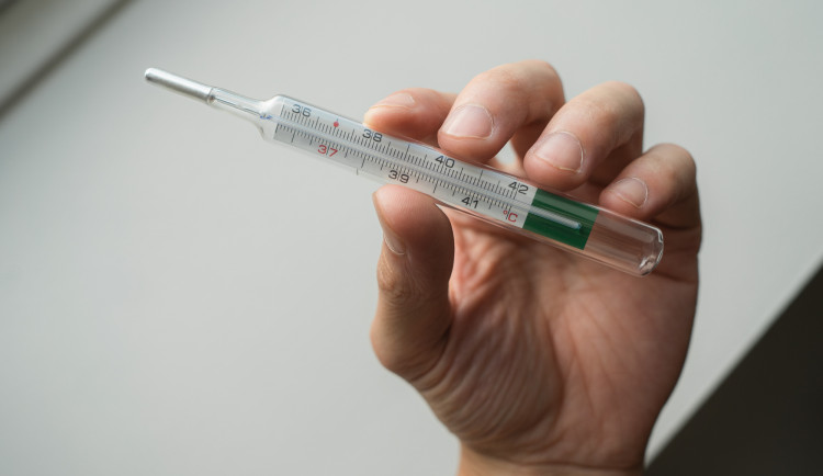 17240095434519-139-nemoc-2