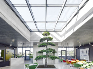 Nečekaná diagnóza, jasné řešení: Jak protonová terapie pomáhá mužům s rakovinou prostaty