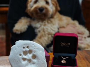 GOLD ateliér. Šperky lokální produkce s více než třicetiletou tradicí v Brně