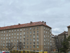 Na střeše brněnského magistrátu se zabydlela desítka ptáků. Holubník pomáhá regulovat jejich populaci