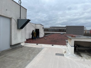 Na střeše brněnského magistrátu se zabydlela desítka ptáků. Holubník pomáhá regulovat jejich populaci